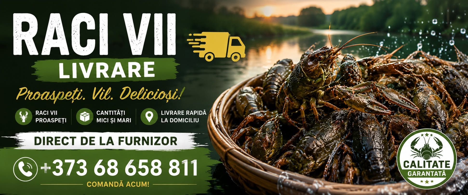 Fast live crayfish delivery