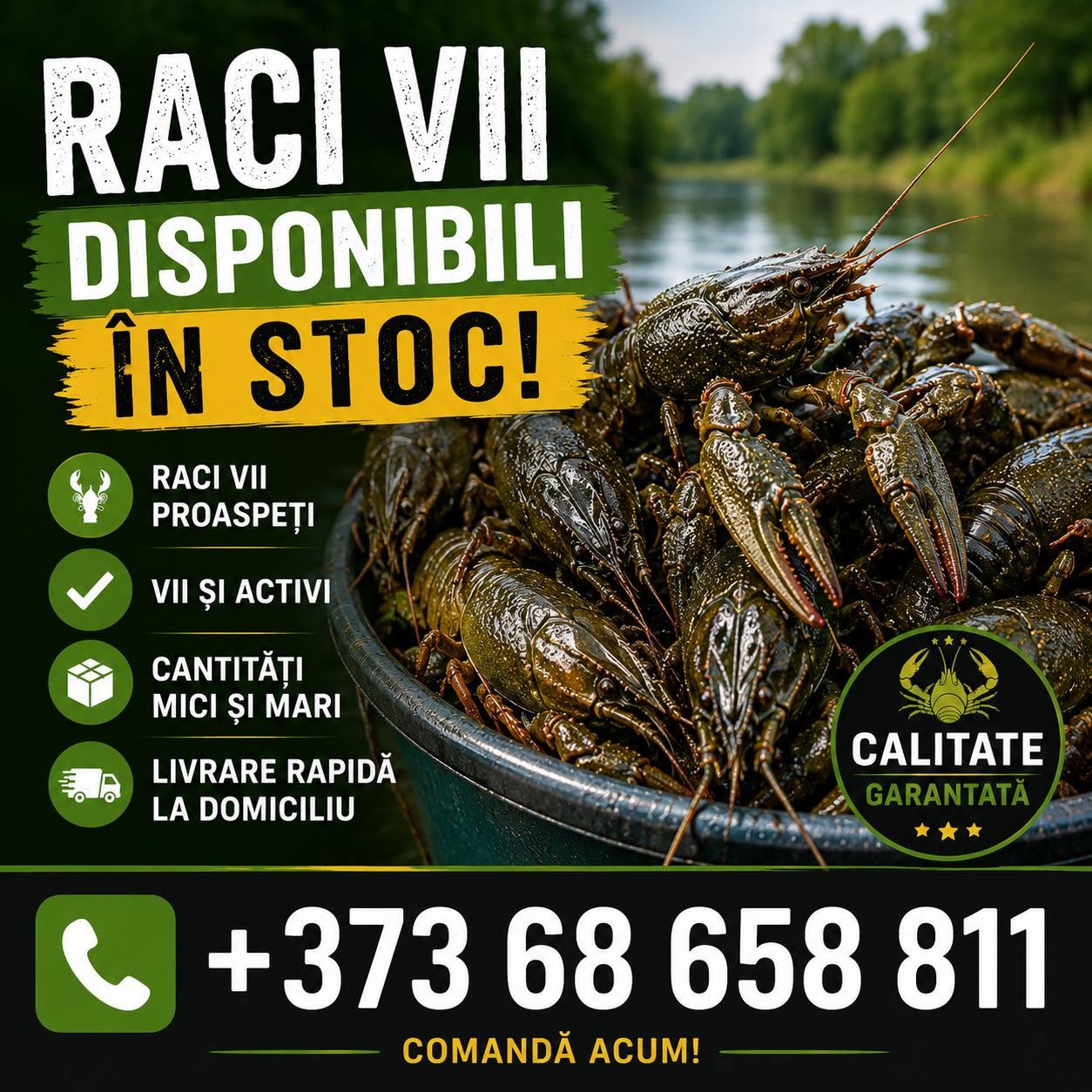 Crate of live crayfish for wholesale buyers